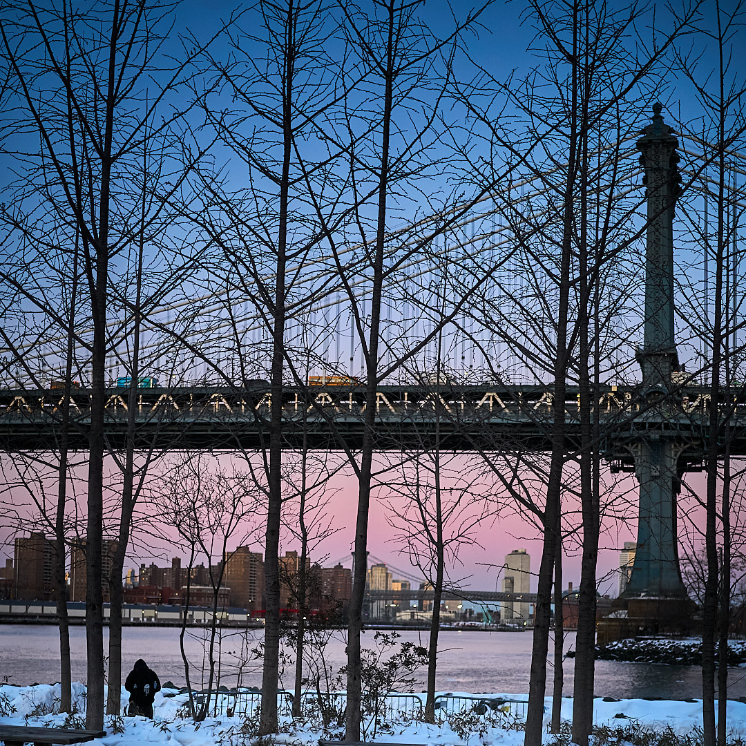2026-02-02 ~ A7C03358.jpg