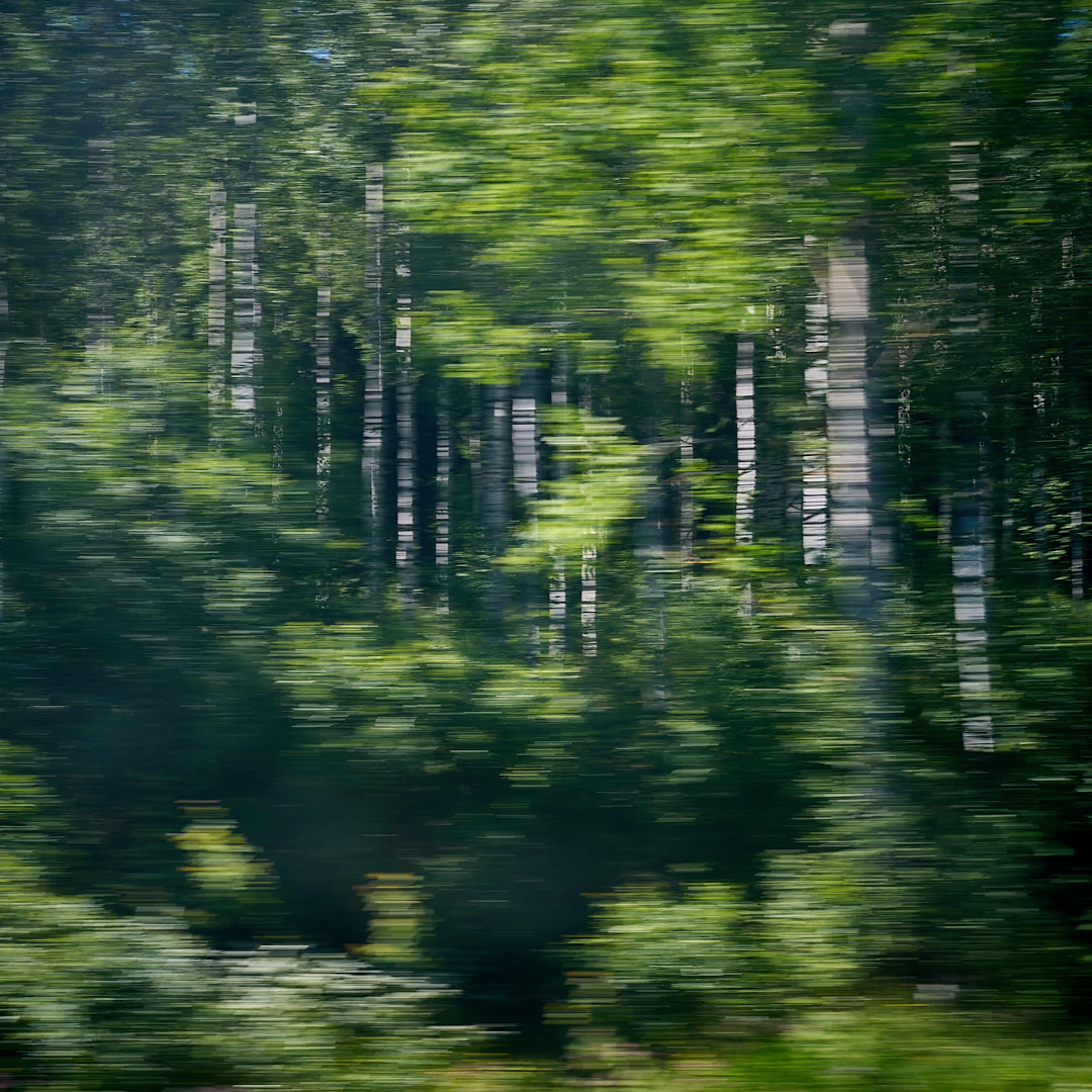 2026-06-19 ~ A7C03655.jpg