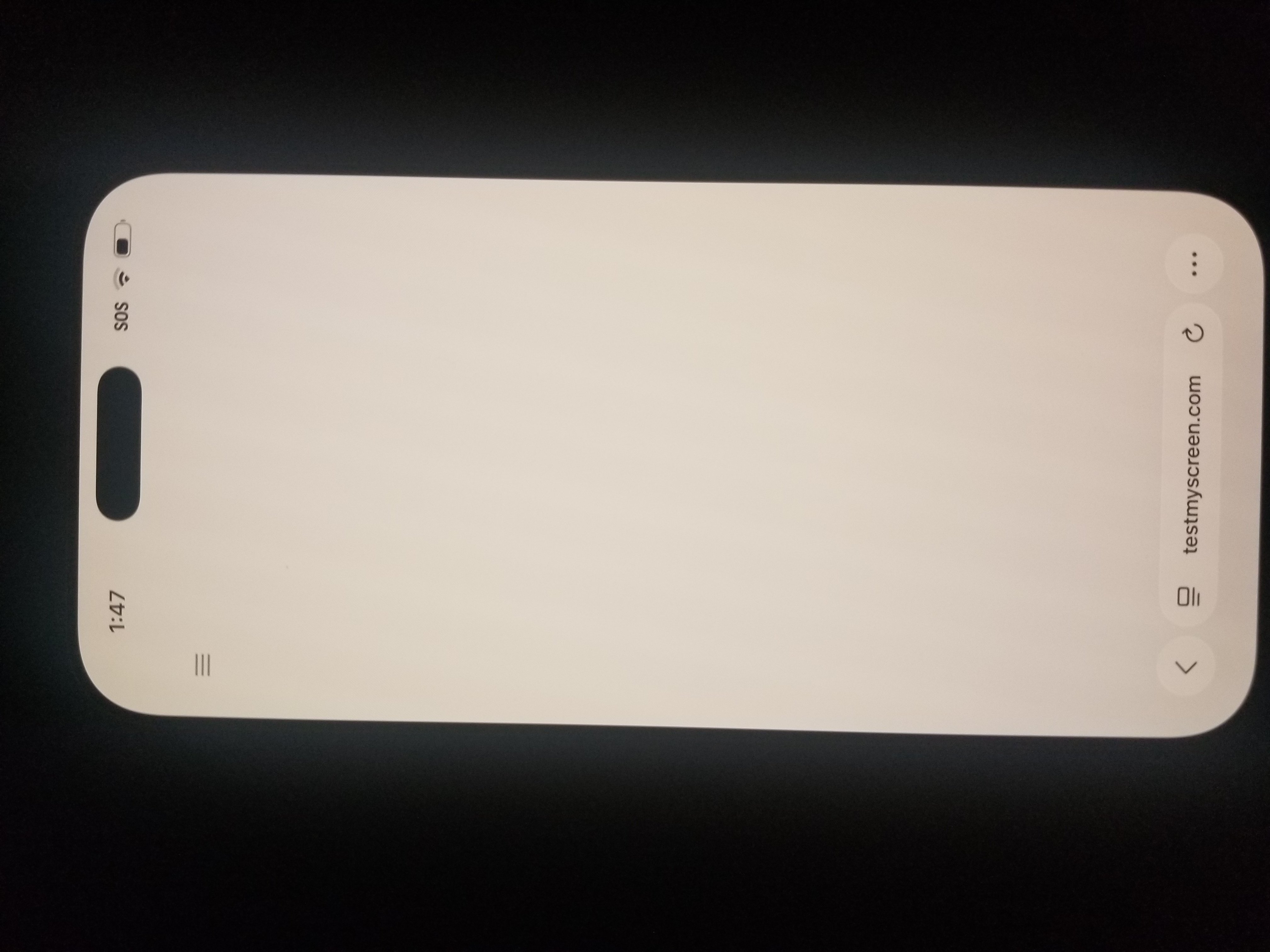 20260210_014734.jpg