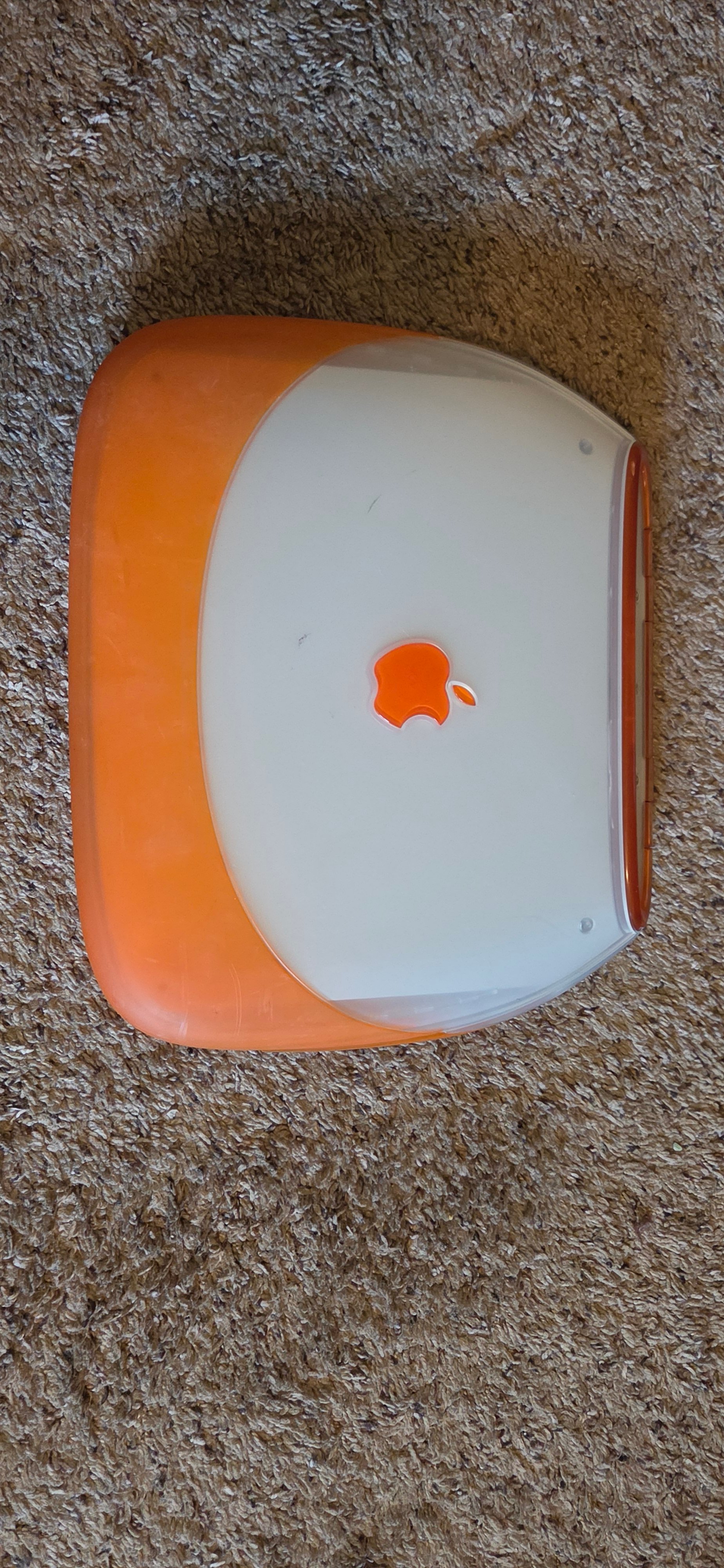 20260609_165456.jpg