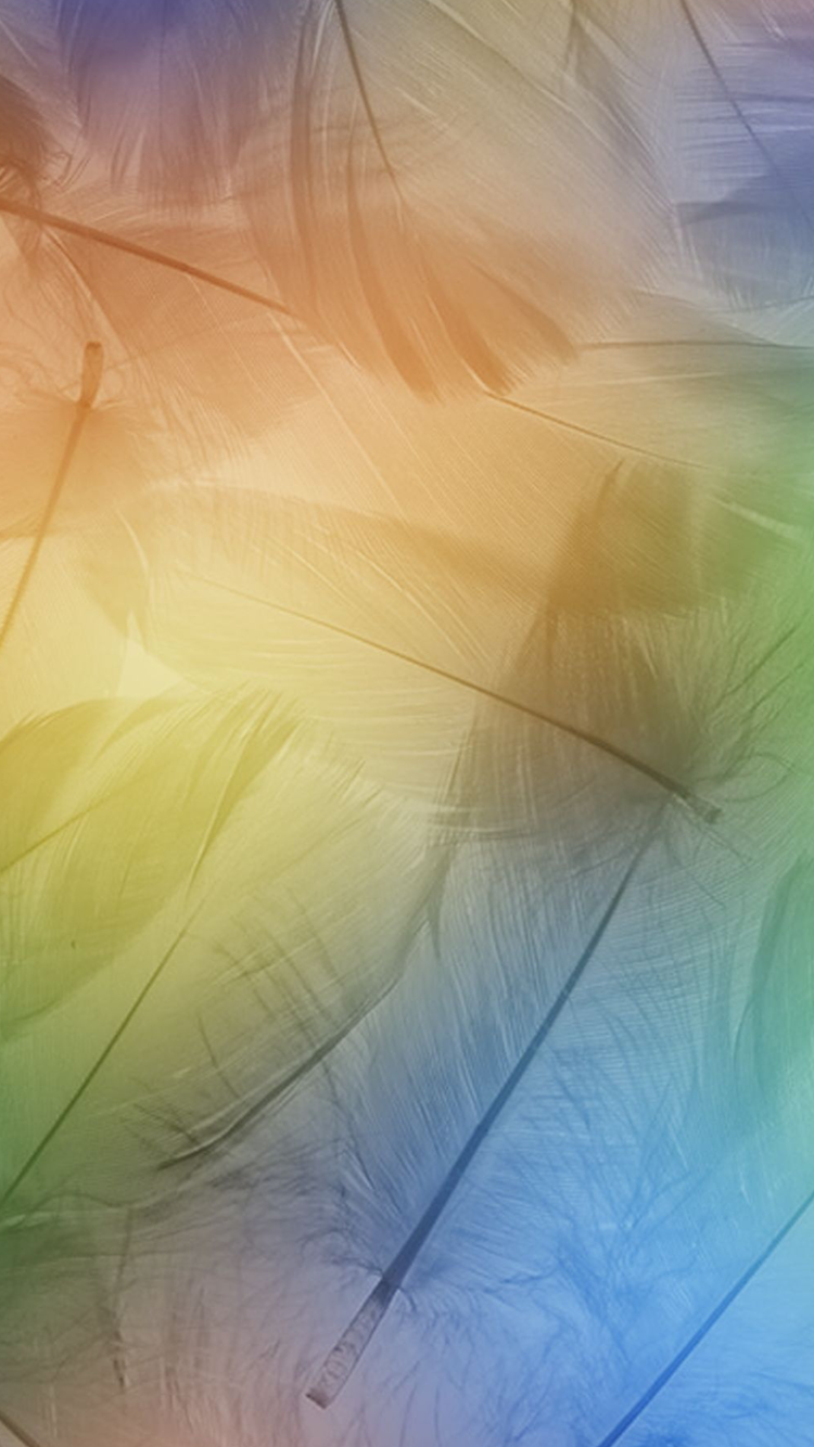 20x0-iP6.png