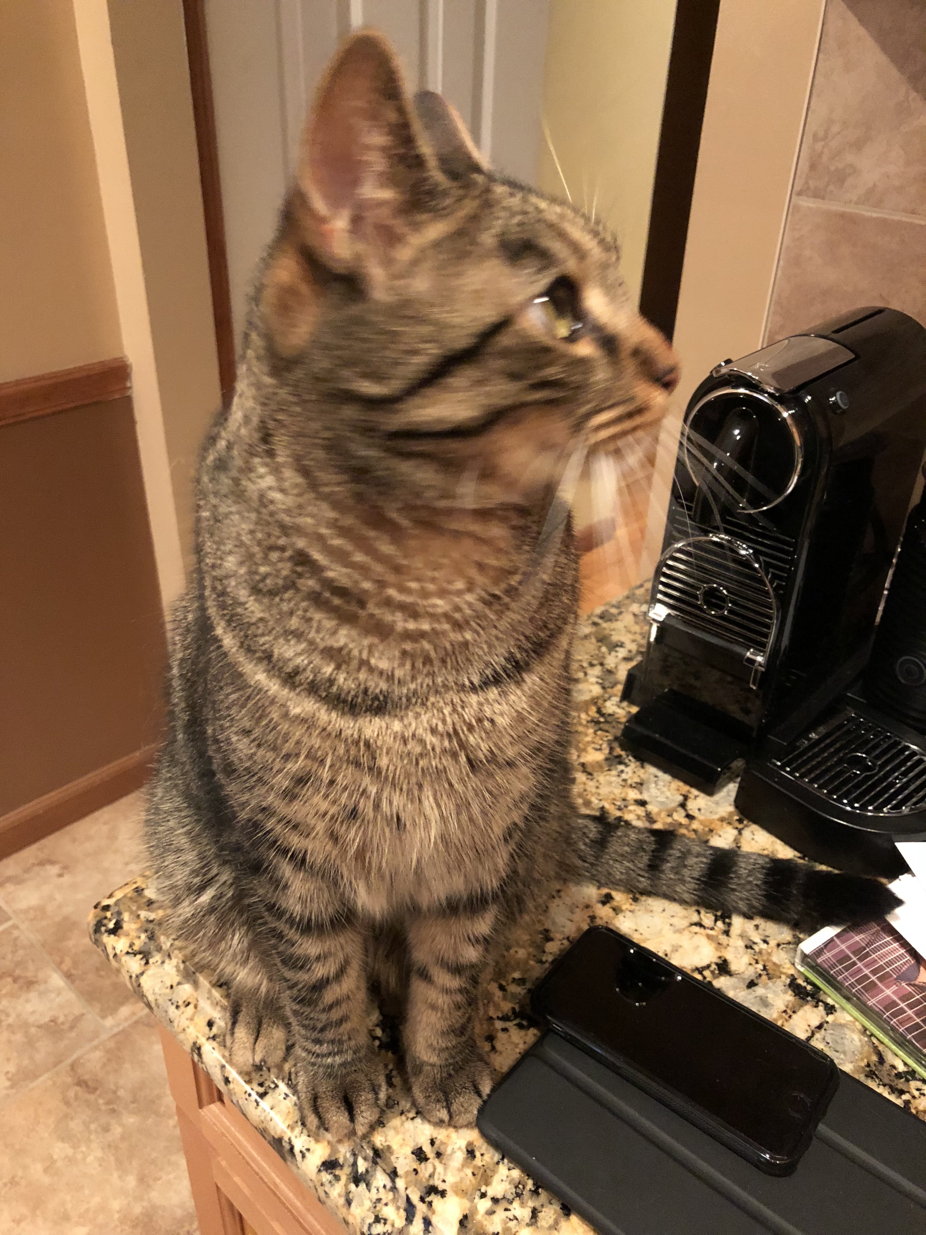 23785AF7-59BD-44FD-A294-BBAF43769BA6.jpeg
