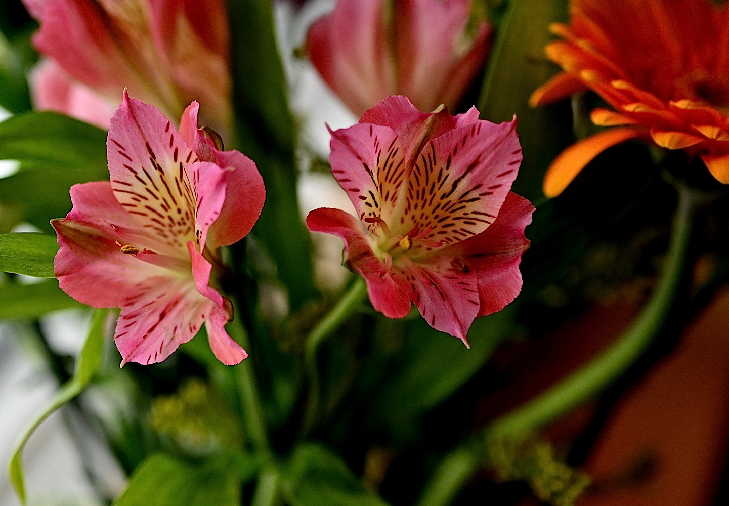 240110_n003A.jpg