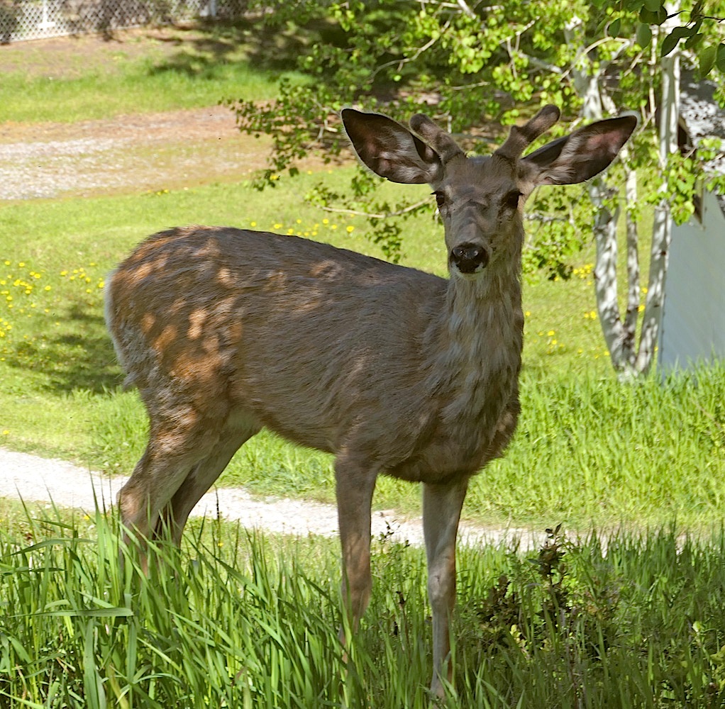 240607_L63.jpg