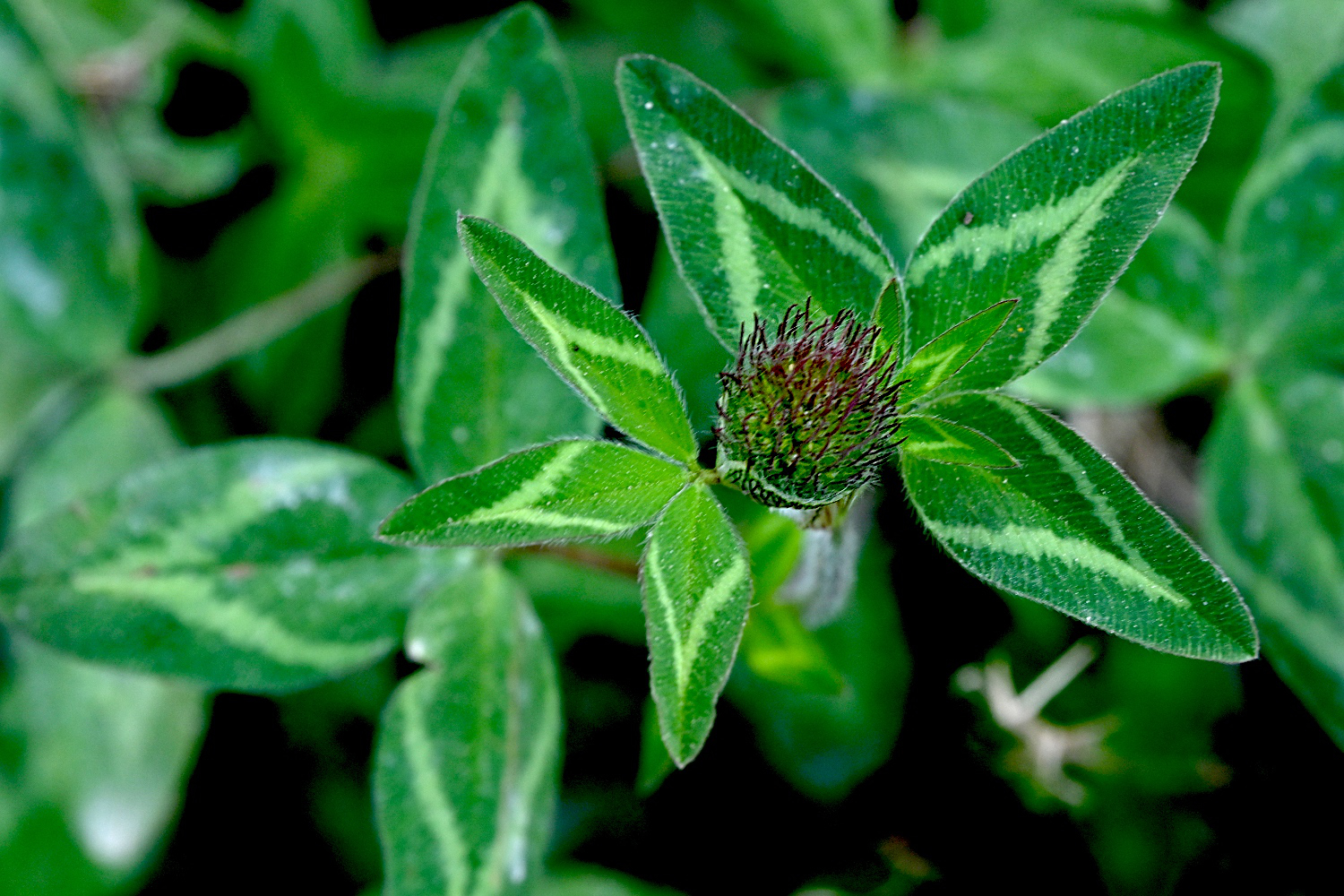 250920_546N.jpg