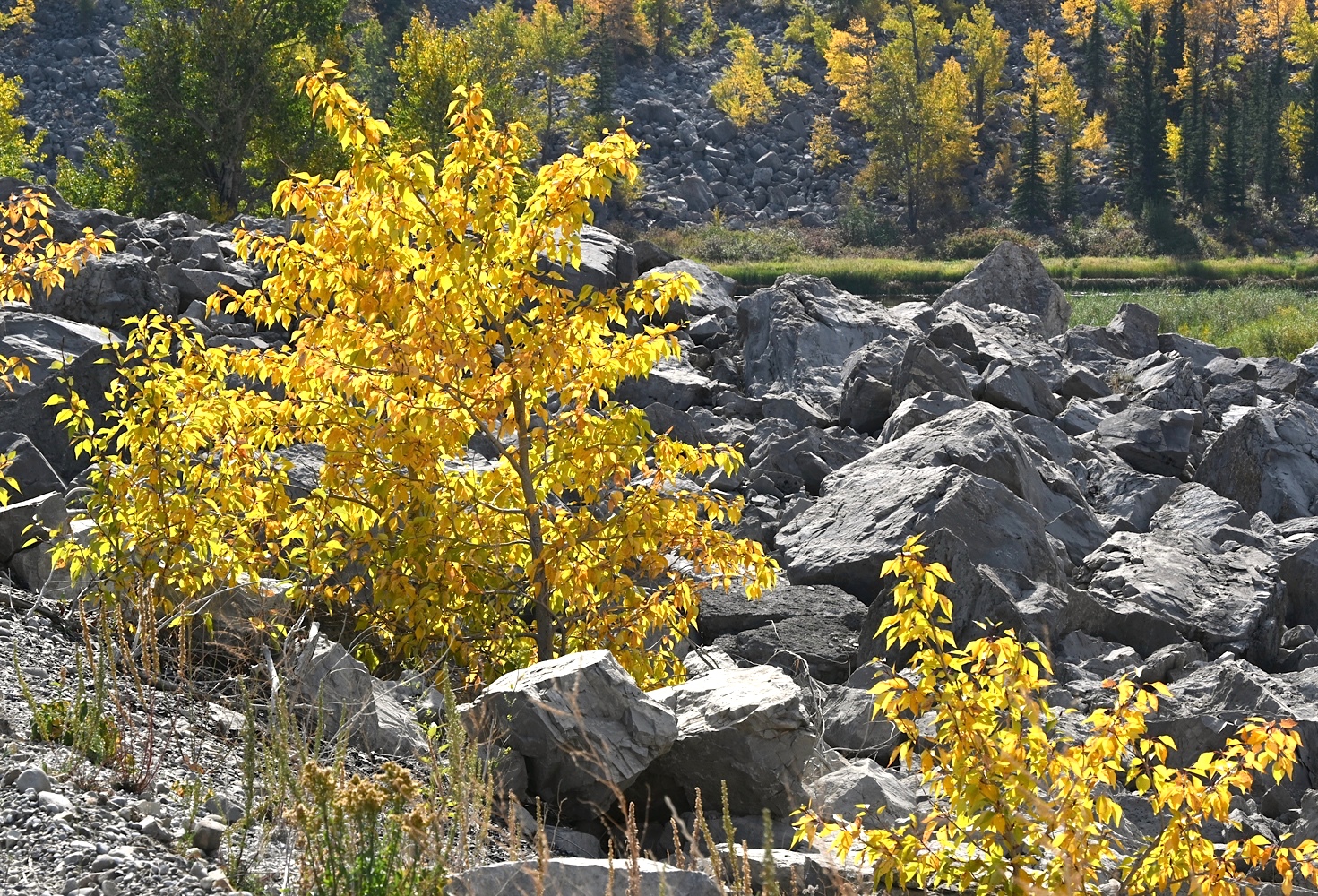 250929_561NA.jpg