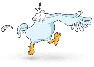 2564389-headless-chicken-2.gif