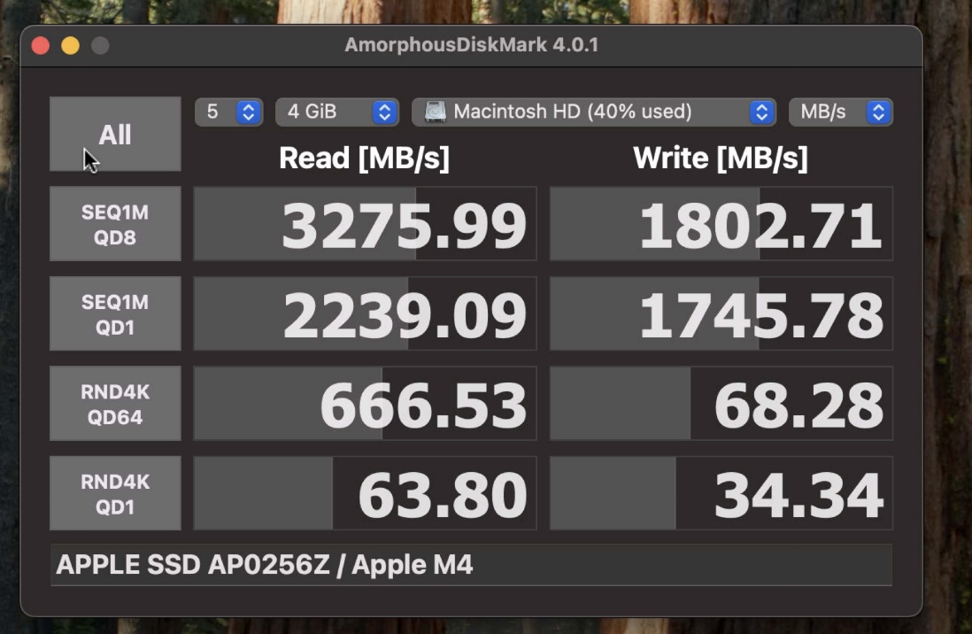 256gb apple.jpg
