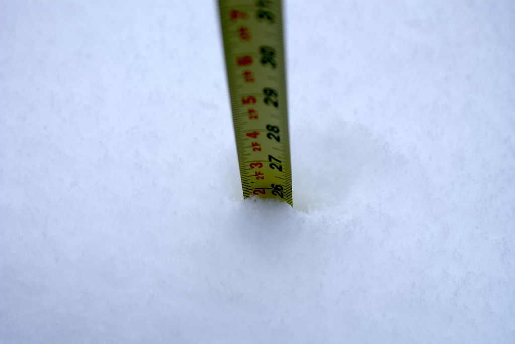 26inches.jpg