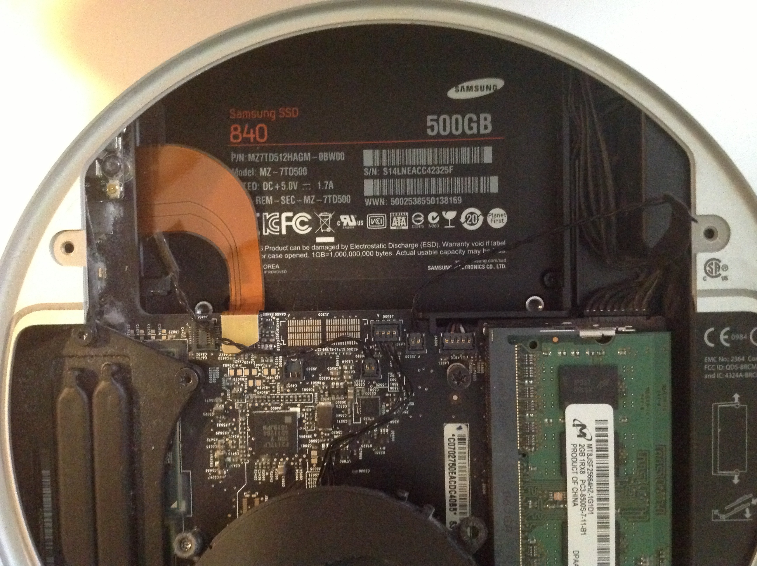 3.jpeg