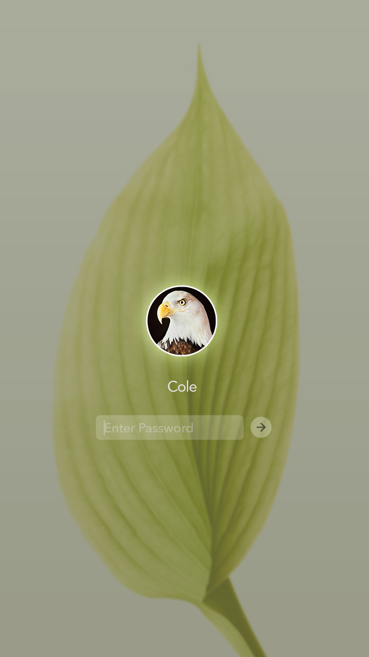 3.png