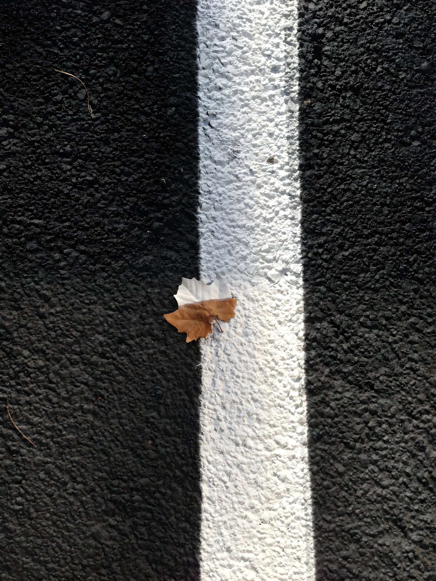 3072x4096.JPG
