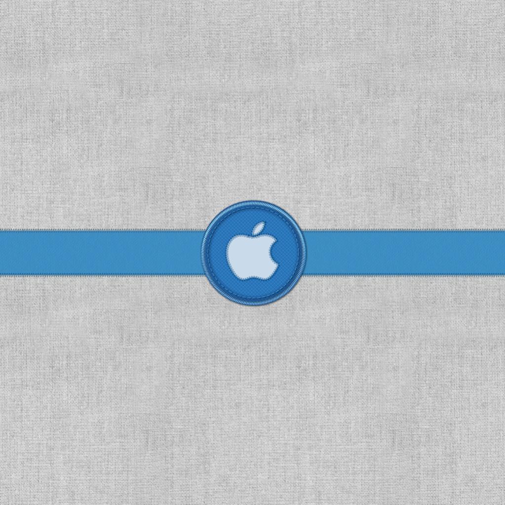 338 iPad.jpg
