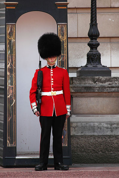 399px-Buckingham-palace-guard-11279634947G5ru.jpg