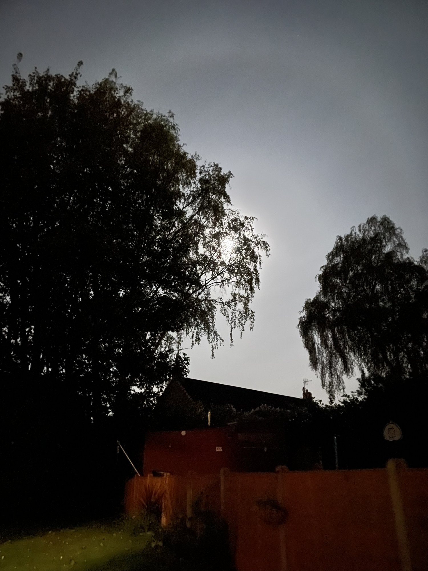 40E91398-777E-42DD-9C33-1E0D10A43063.jpeg