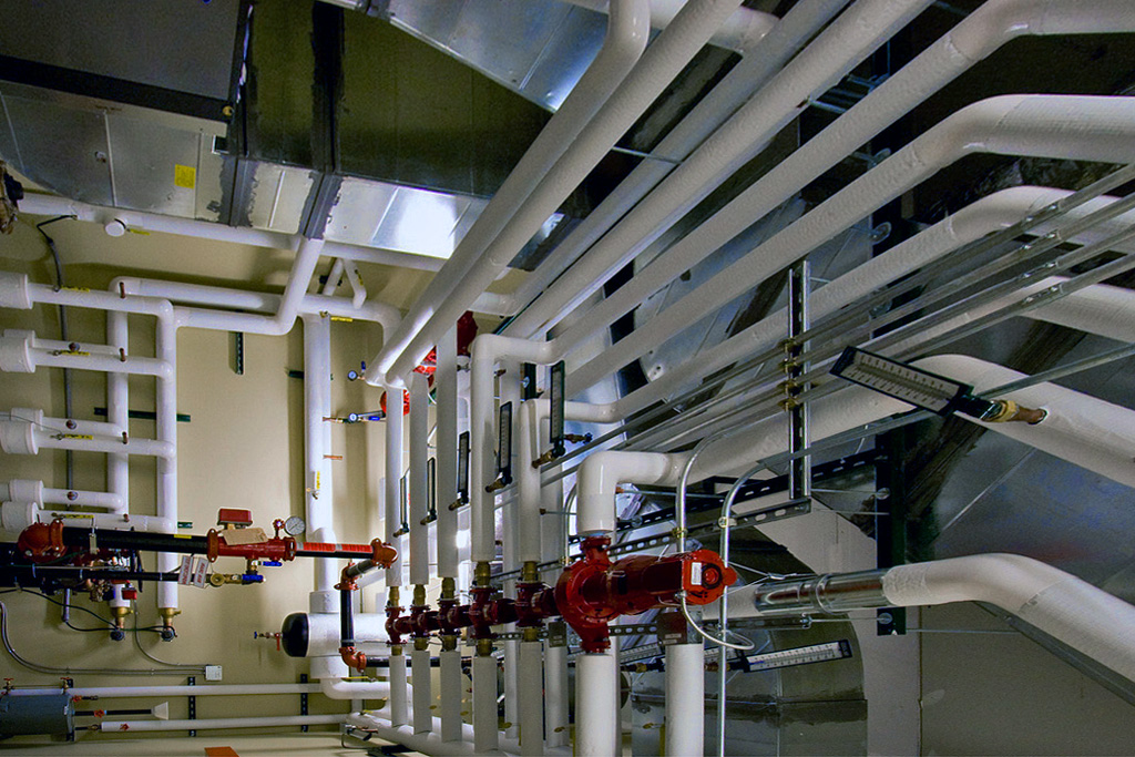 4268234654_2ce1c3de24_b copy.jpg