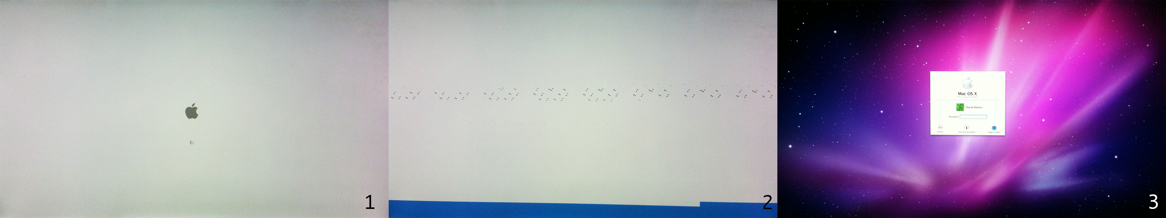 43699596.jpg