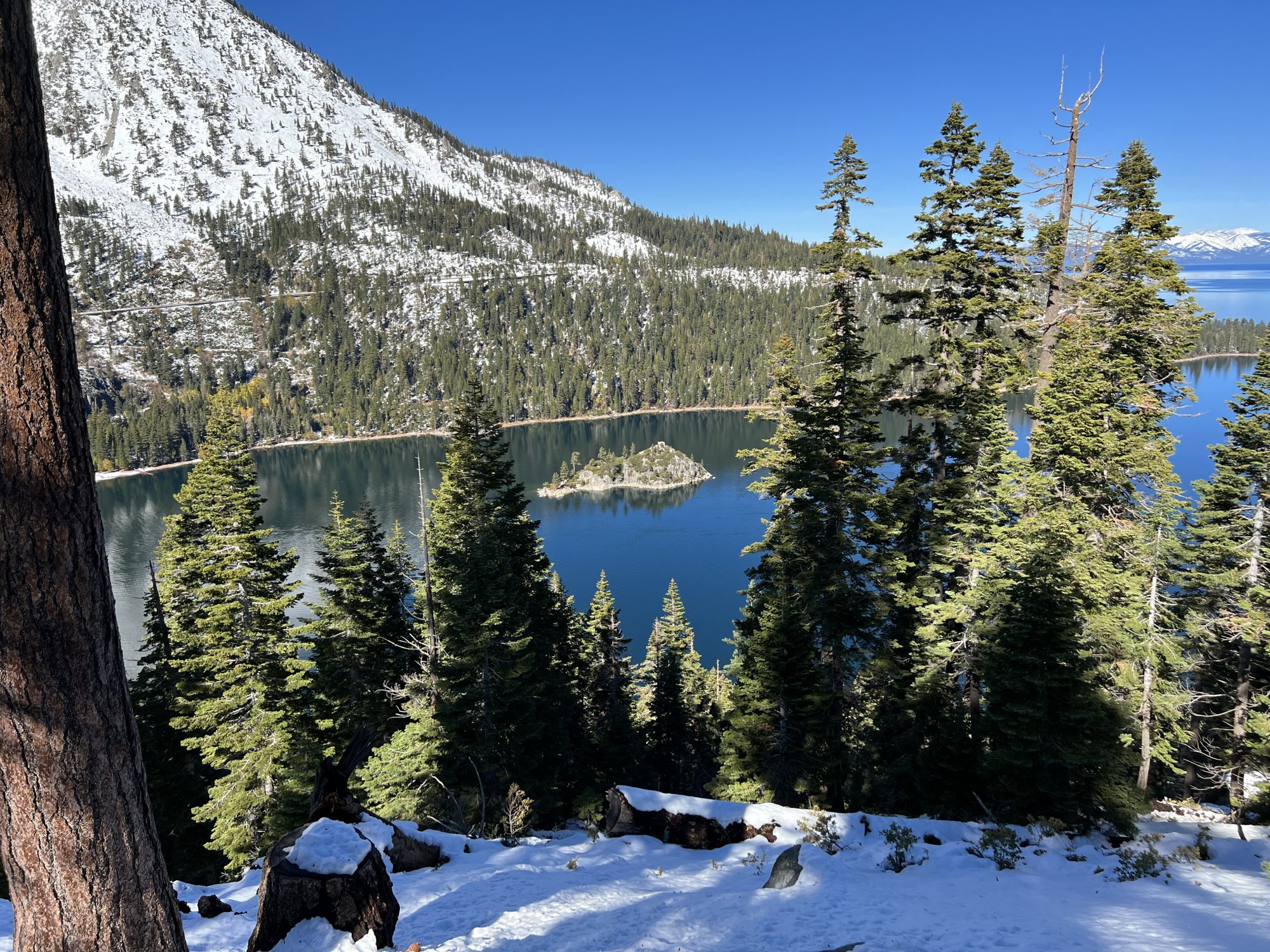 43F6C4AB-3957-420D-B06B-48BA56592DEC.jpeg