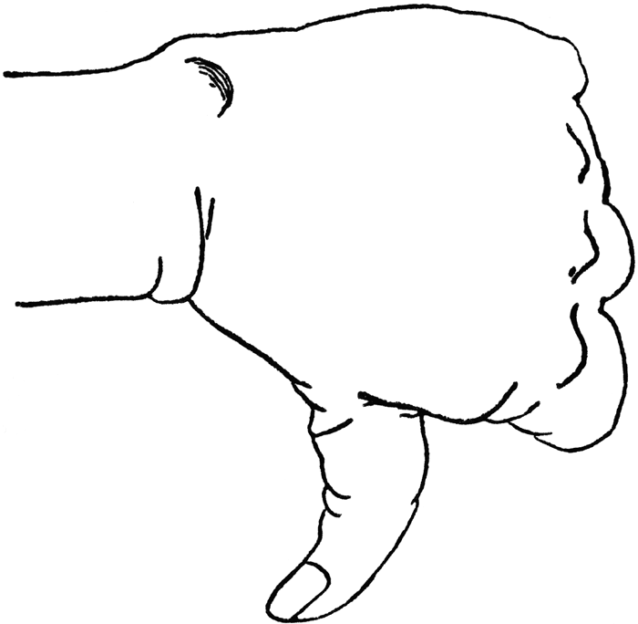 52557_thumbs_down_lg.gif