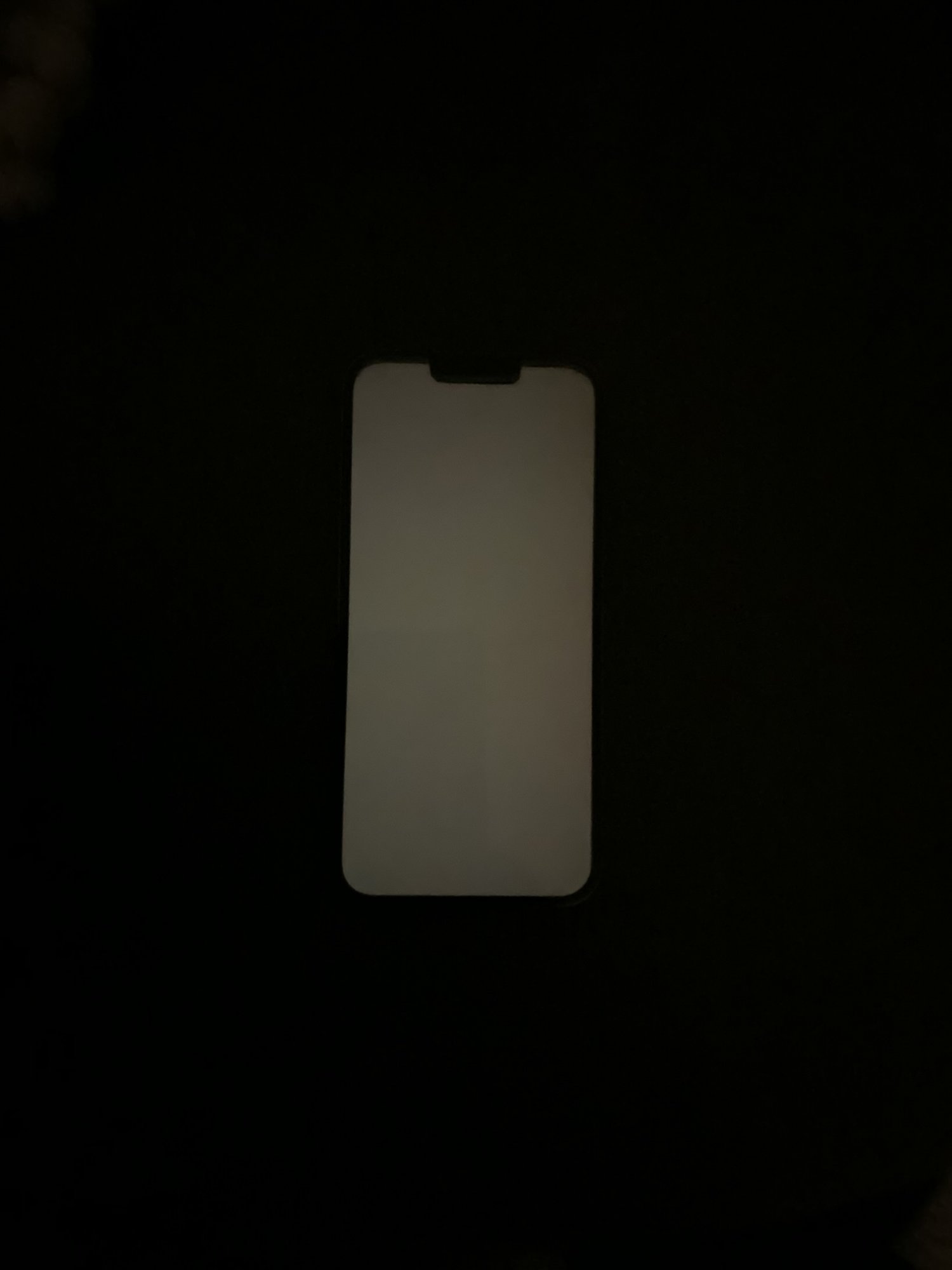 58B4289F-D6C6-4A76-8F3E-FA0C4431925C.jpeg