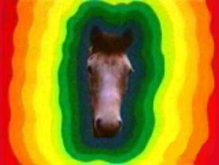 5EC67DAA-798B-4A28-92C1-BB6368617937.jpeg