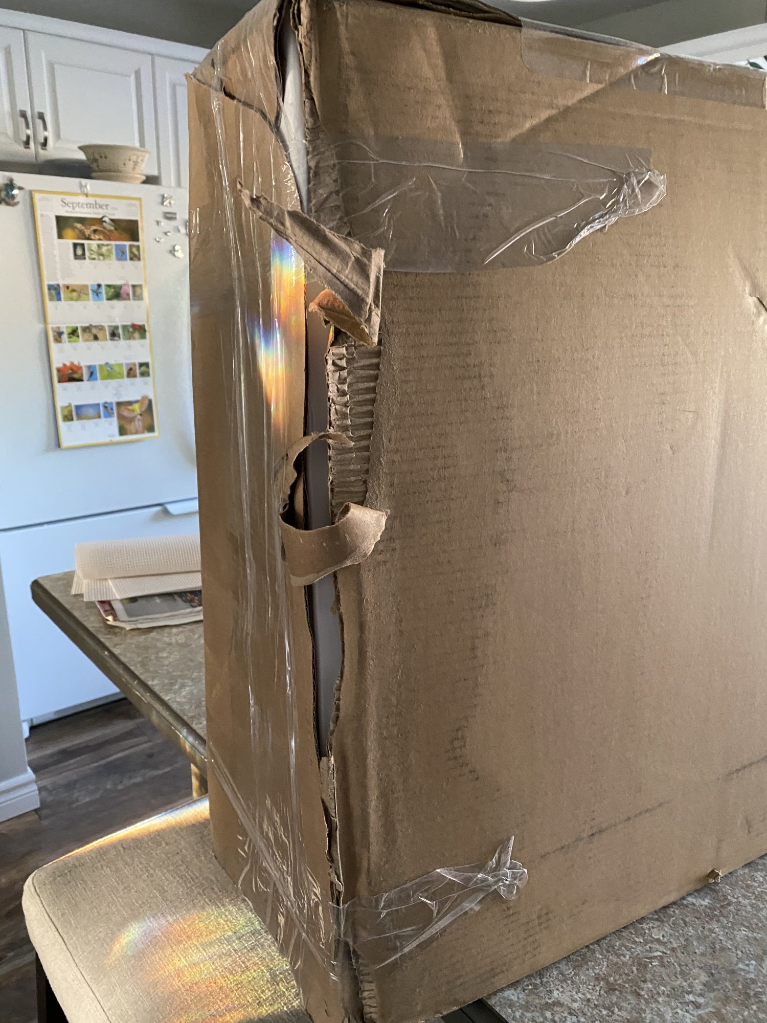 72F15054-E1ED-43B9-BA6E-1B3E26DDA39E.jpeg