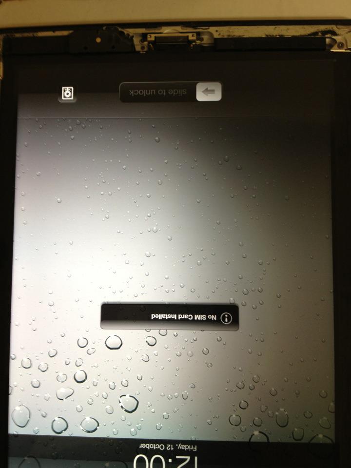 76882_415571415177167_1520259029_n.jpeg