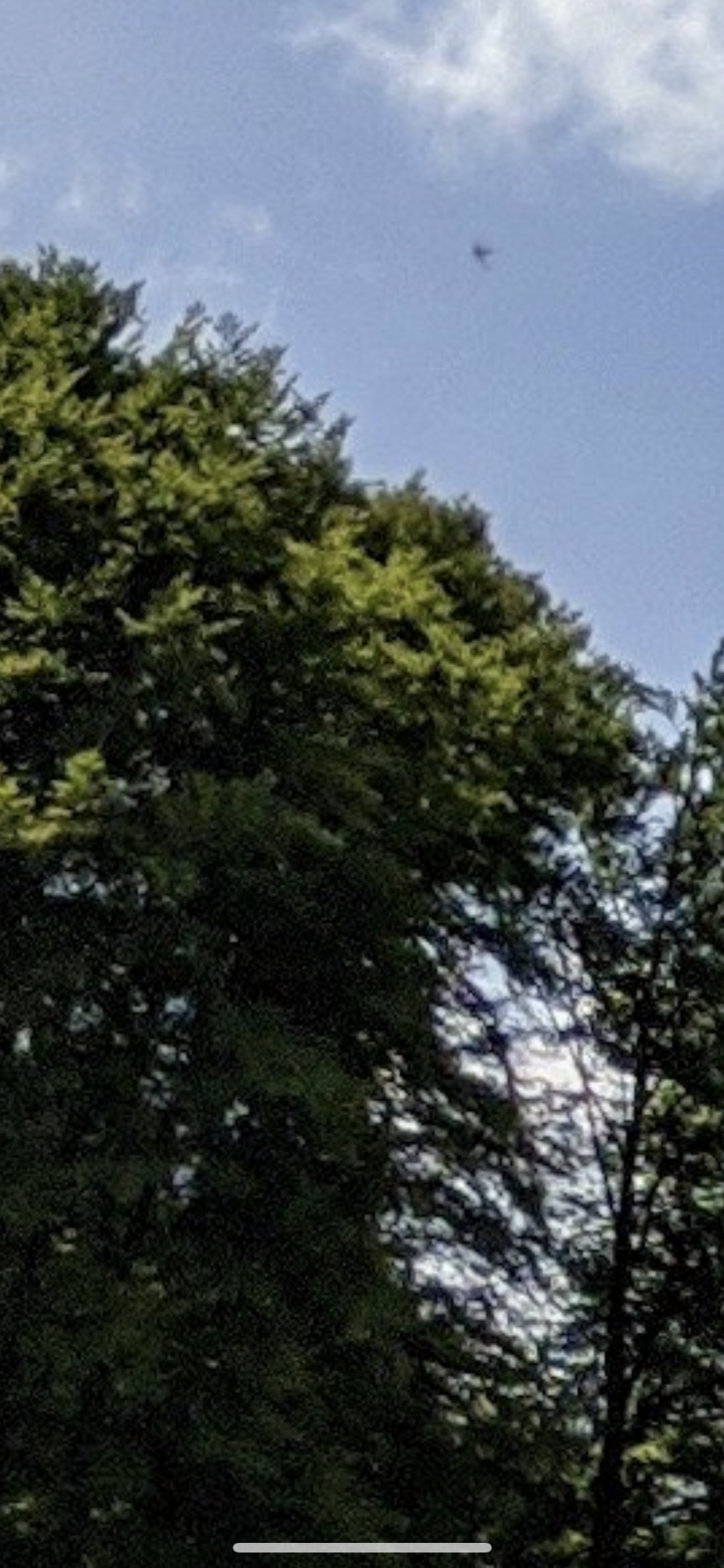795D7E79-5A77-45CD-945B-2484D4898615.png