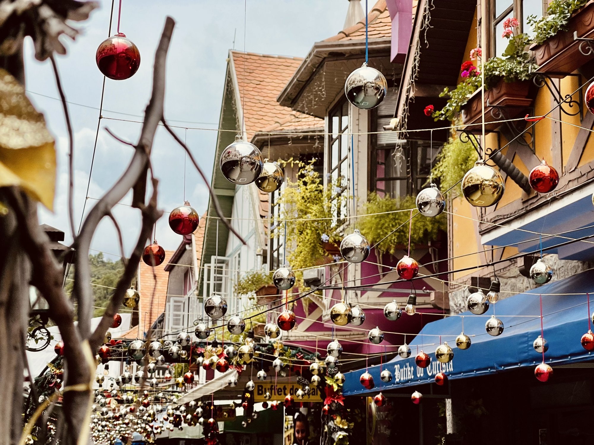 7D51073F-5DF7-43BF-B1D7-30F16B9AE4F6.jpeg