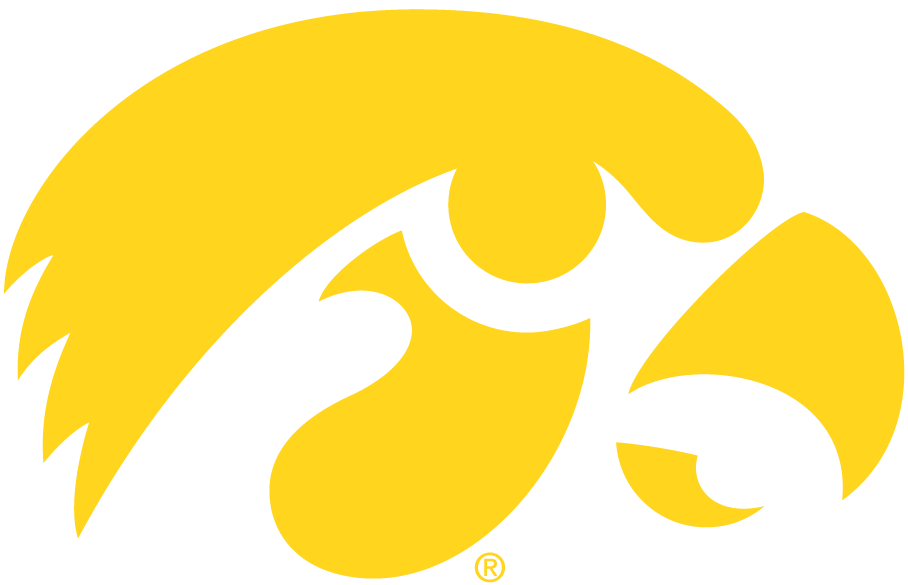 8351_iowa_hawkeyes-alternate-1979.png