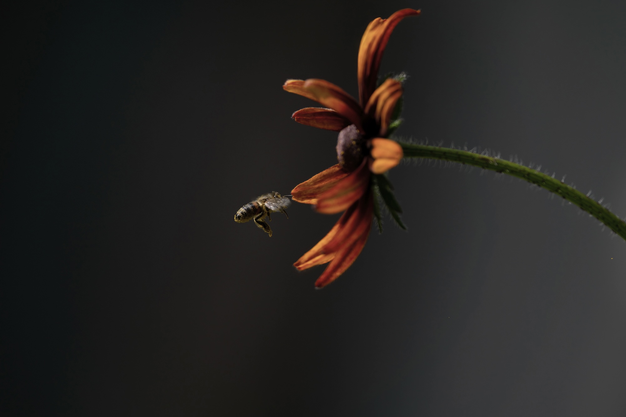 83D1466A-8D32-4507-B3BA-11864E98E013.jpeg