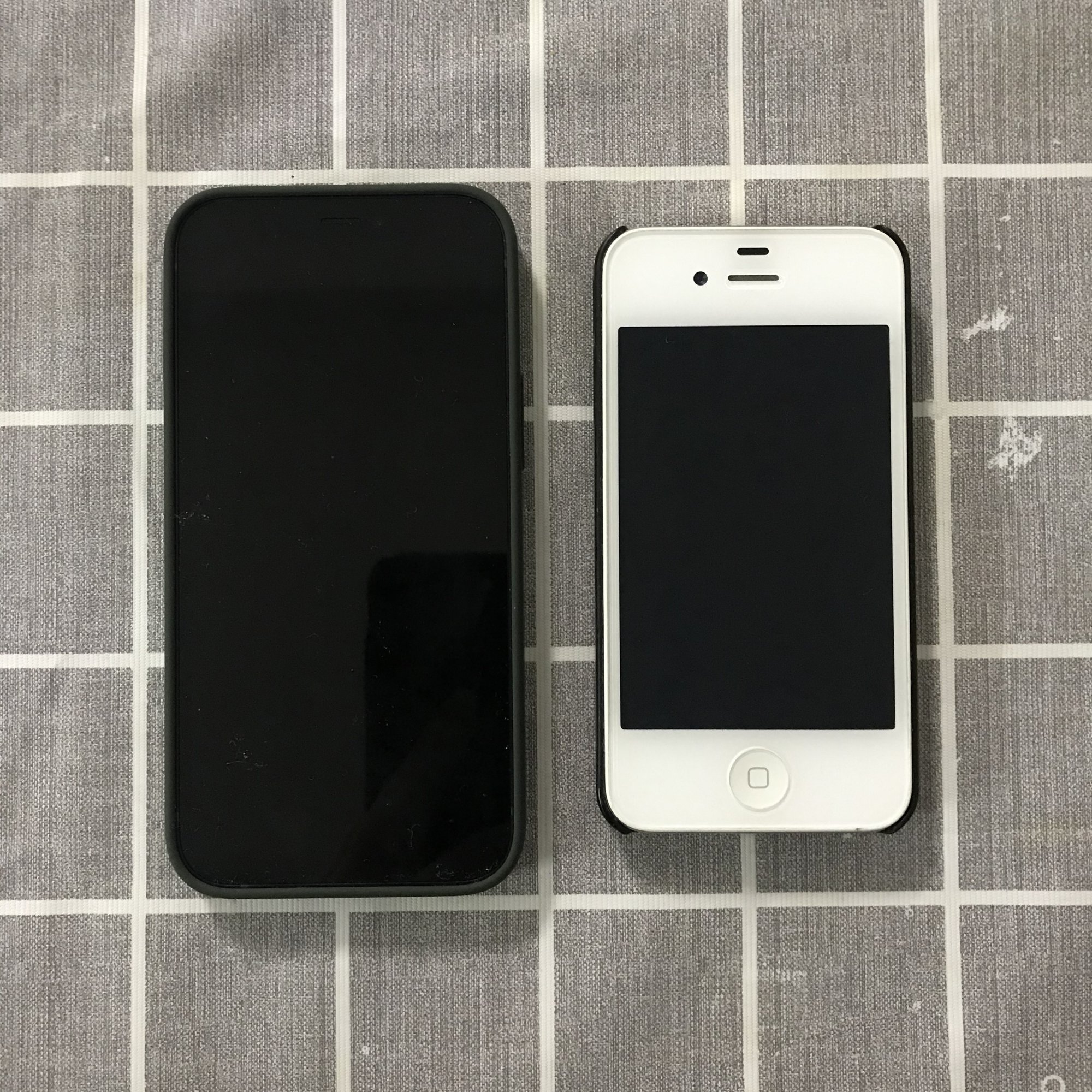 876676397.jpg
