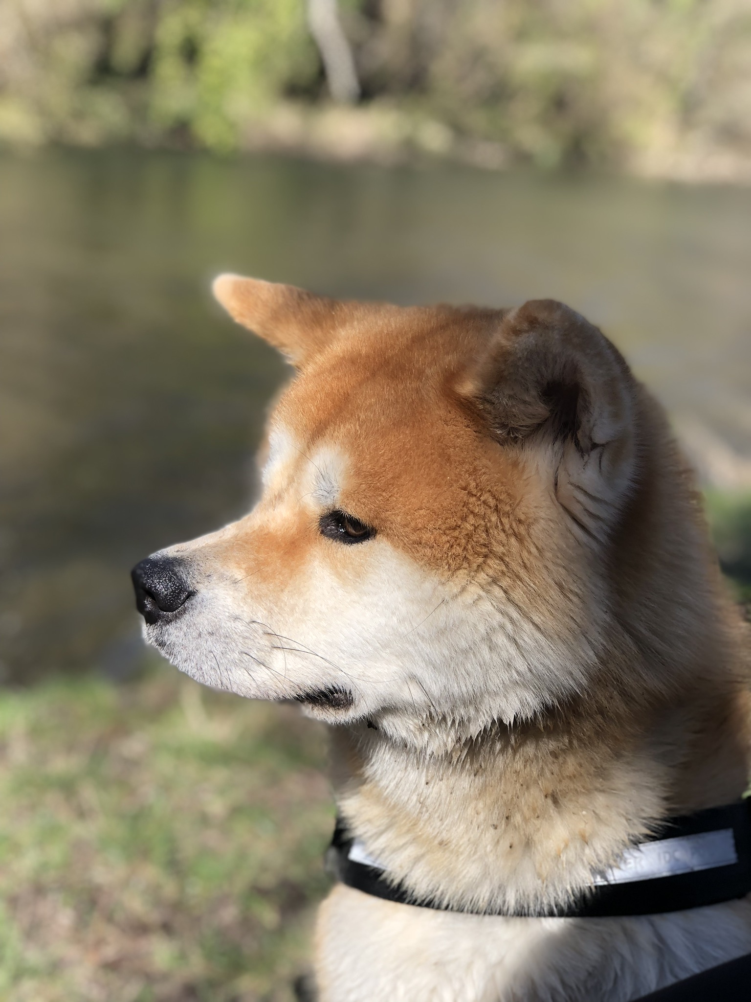 8F418464-B656-4141-BF5B-6AA0335E6E86.jpeg
