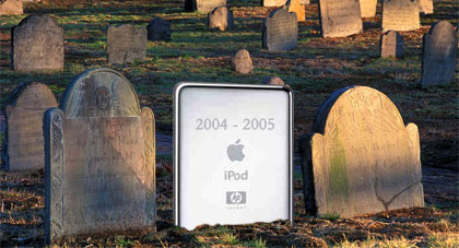 9265152284984605.jpg