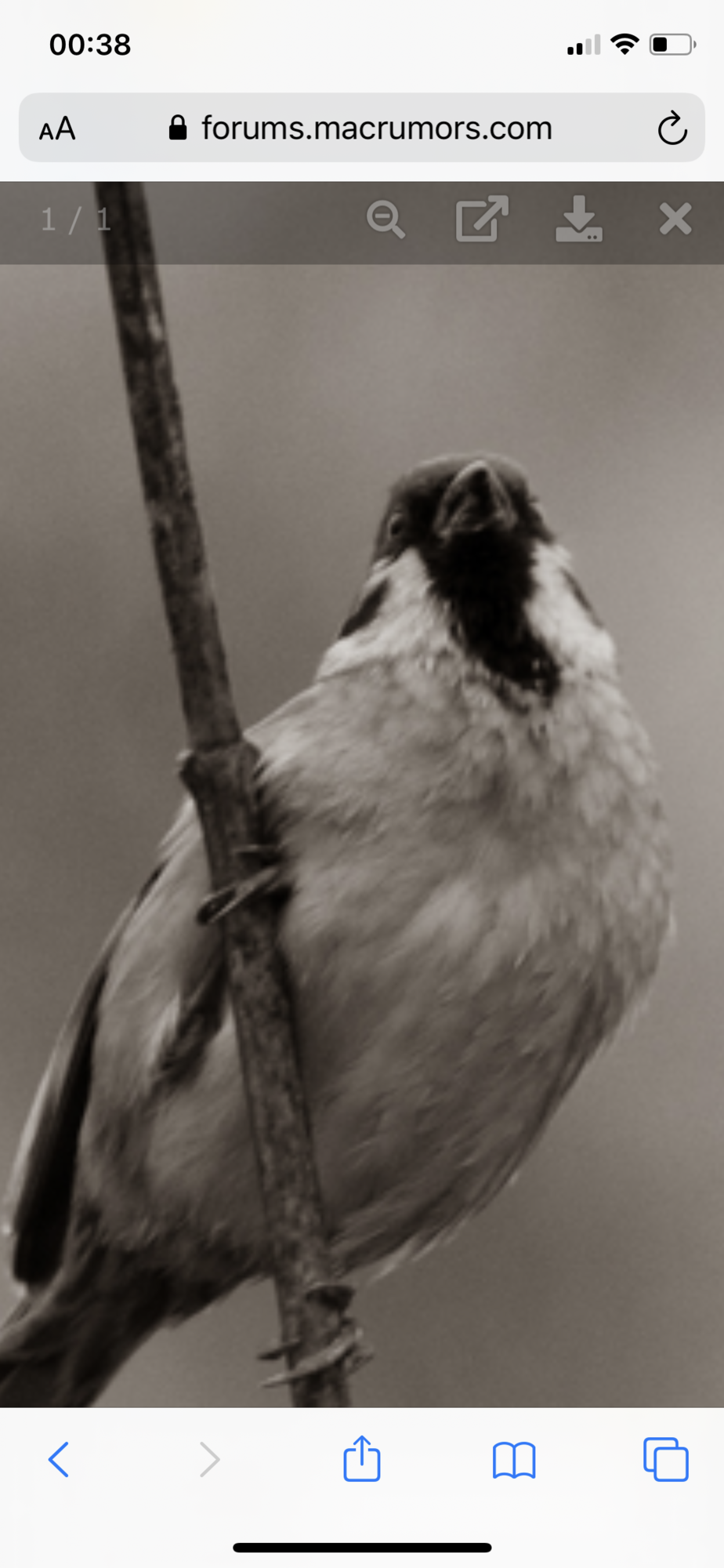 9502122E-59E7-4ADA-BB9E-C9DB736DEAAB.png