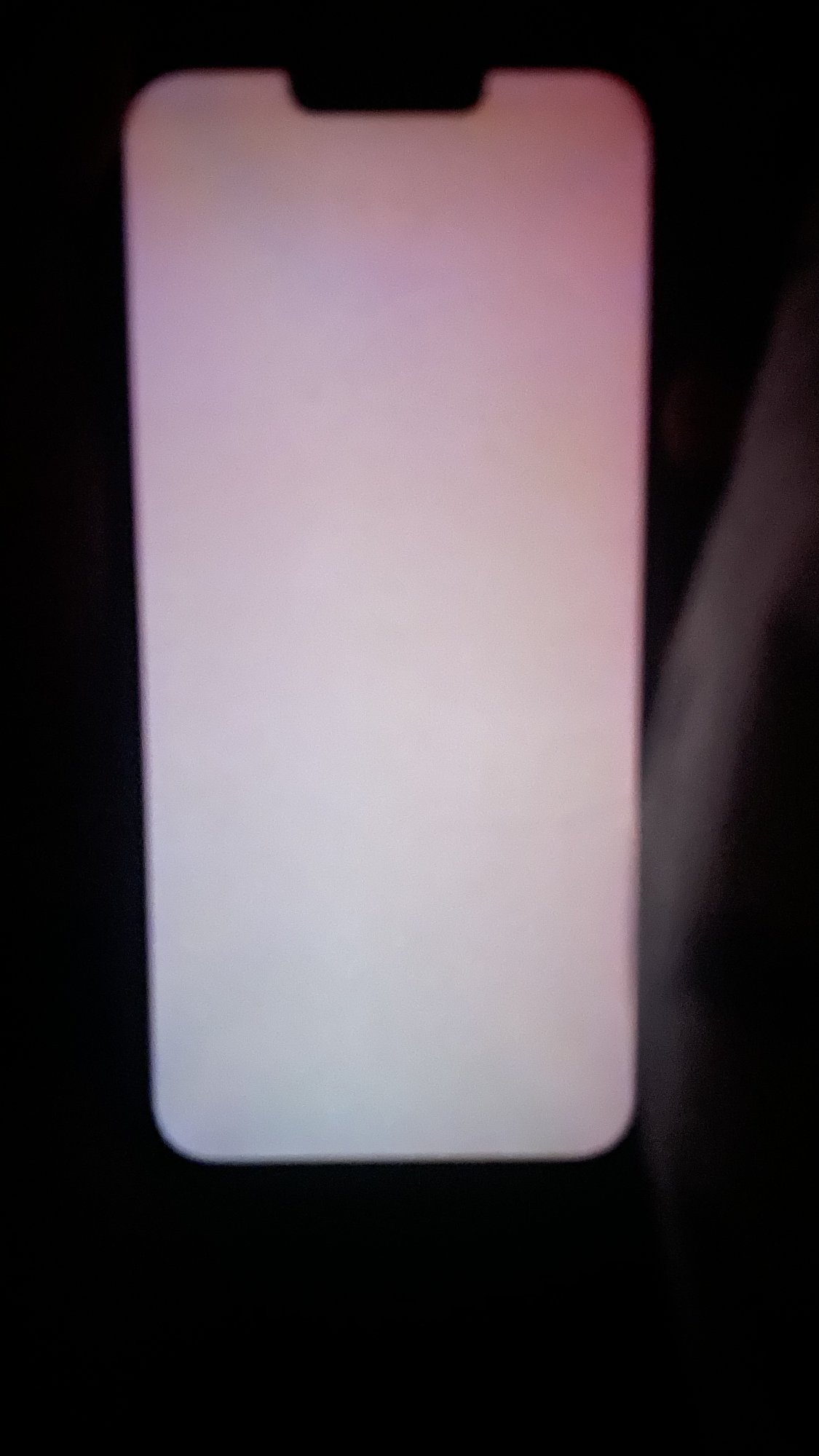 97911BEF-EA30-4CDC-BC74-FB3B42C7BE97.jpeg