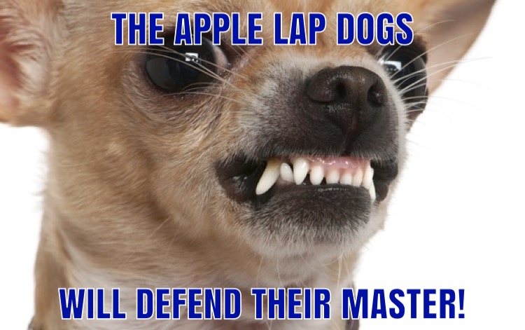 9CB21E37-4FC7-4E64-8F45-9F57E54E3B3E.jpeg