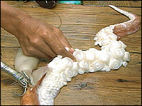 _40847302_squid2_kubodera_203.jpg