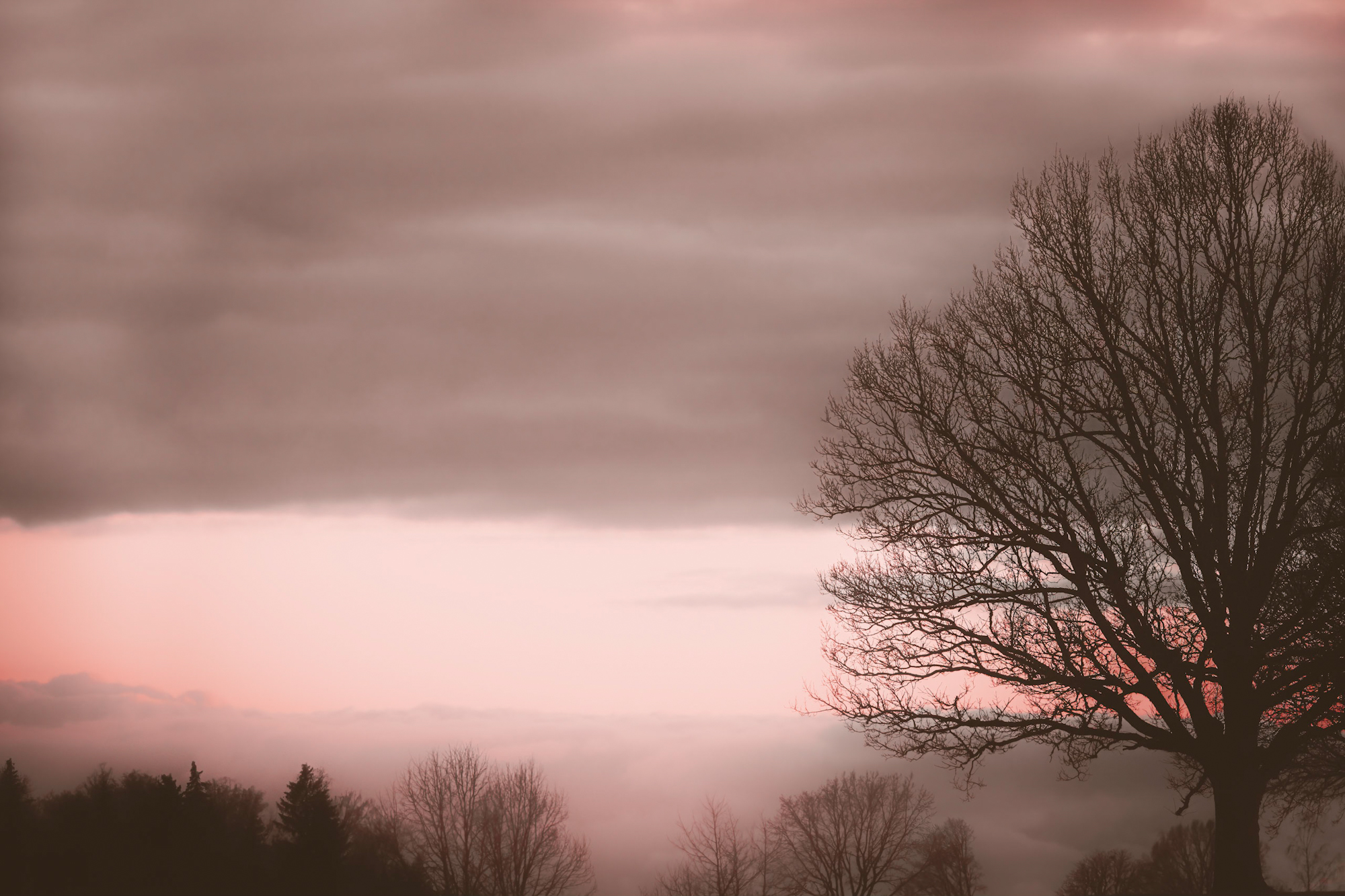 _DSC0127M.jpeg