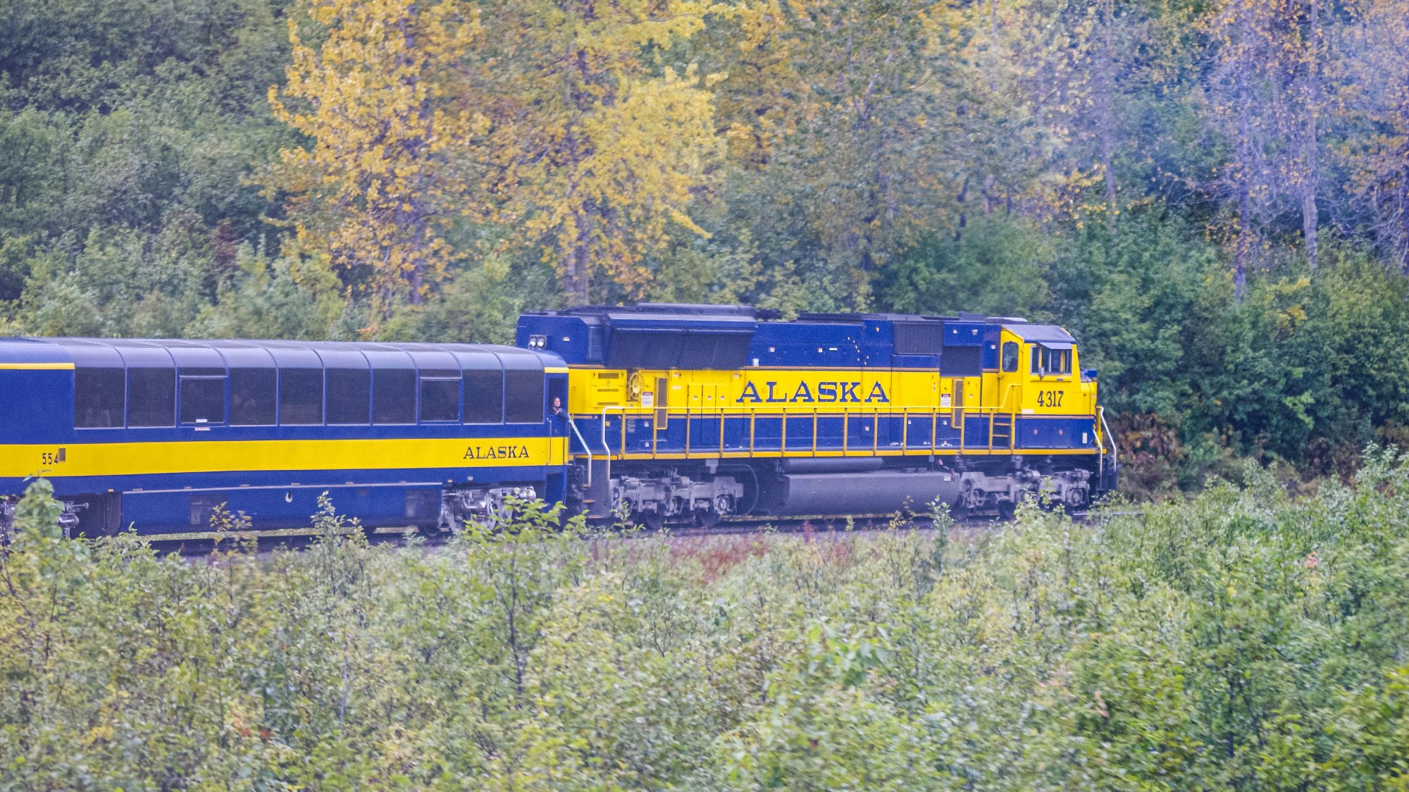 _DSC3868-2.jpg