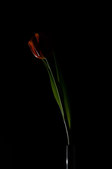 _DSC9484 - Arbeitskopie 2.jpg