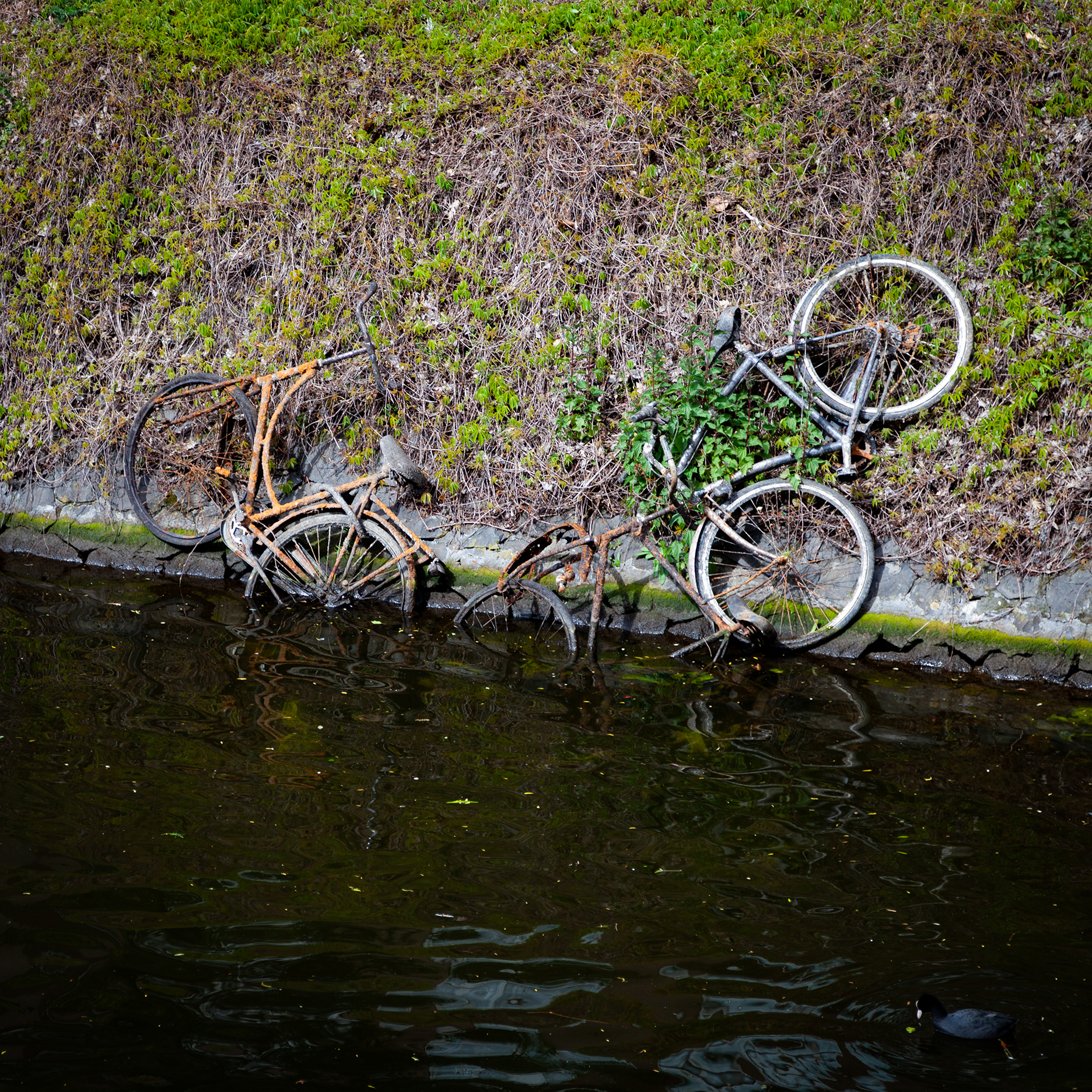 _MG_2512.jpg