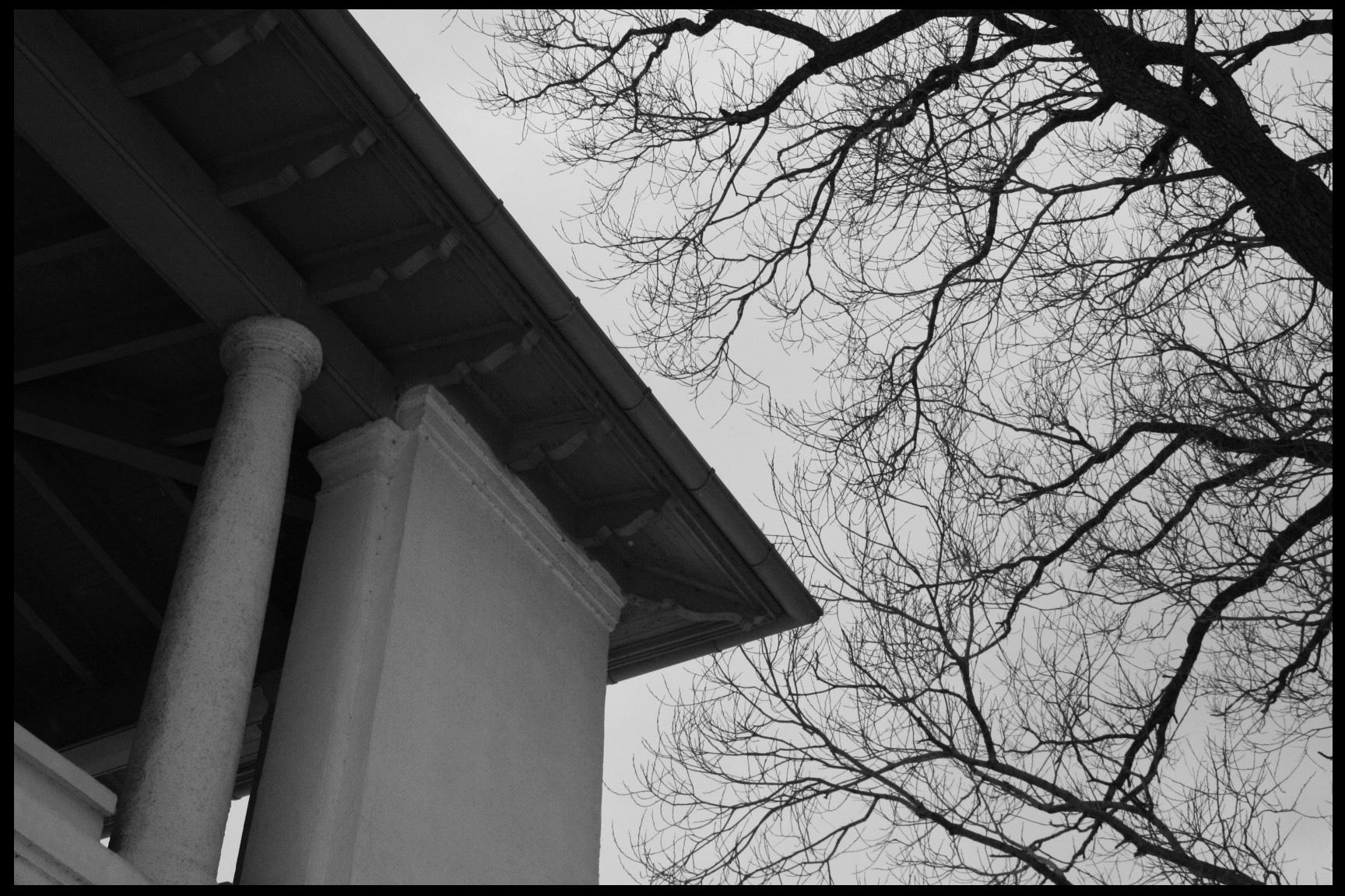 _MG_2892 copy.jpg
