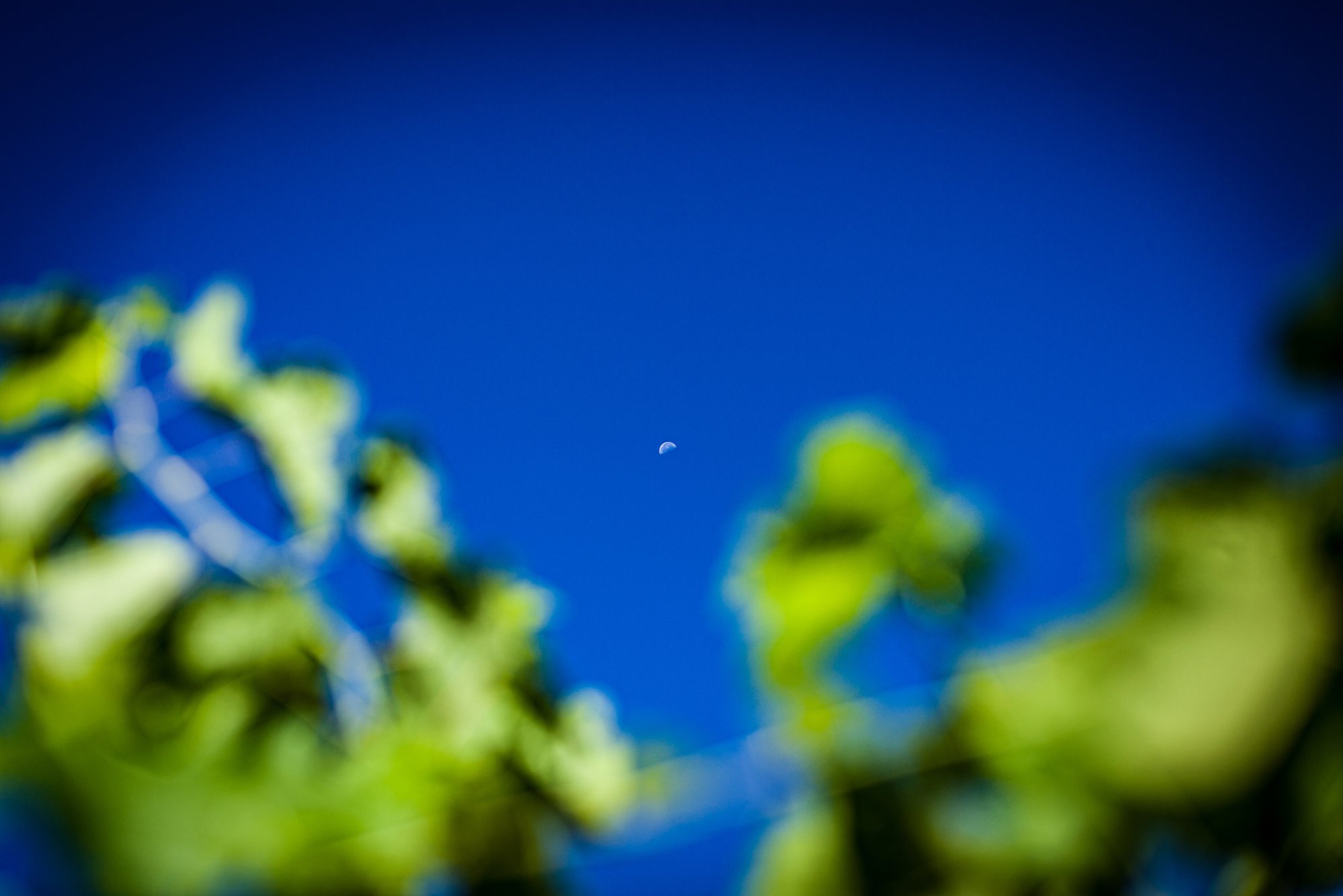 _MG_5614.jpg