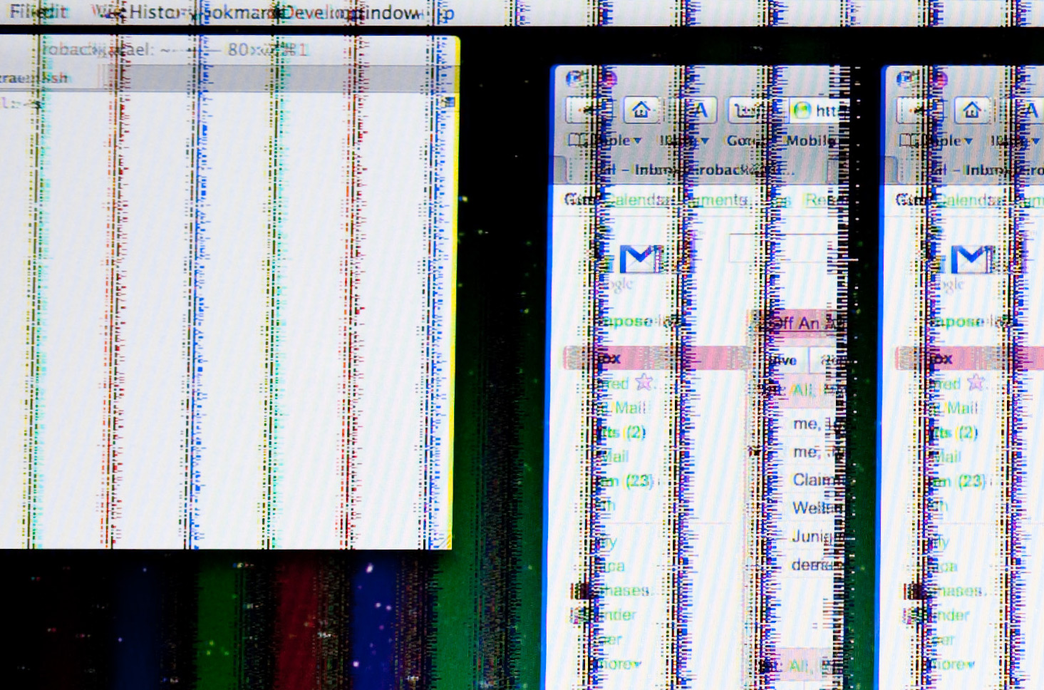_MG_9374crop.jpg