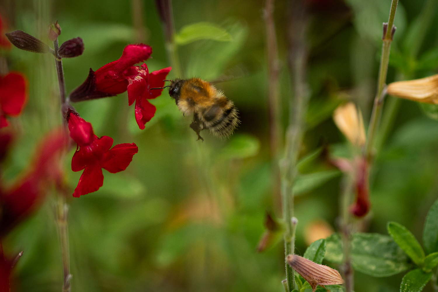 _Z636724.jpg