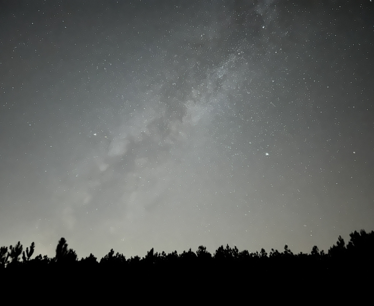 A445EC35-E159-47C8-91A7-74B851C64FD8.jpeg