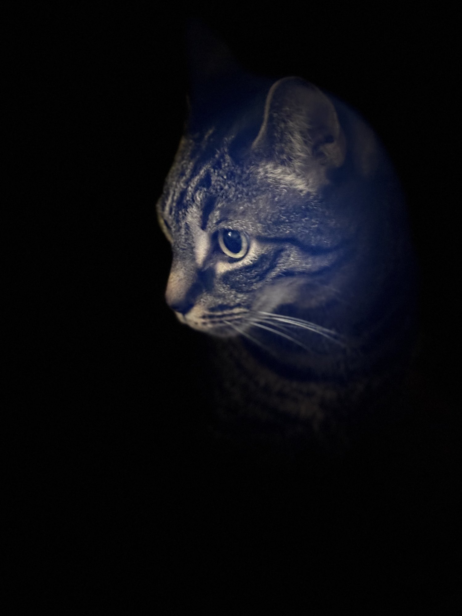 A5166C1B-35E7-40DE-89DF-A67EB5B73115.jpeg