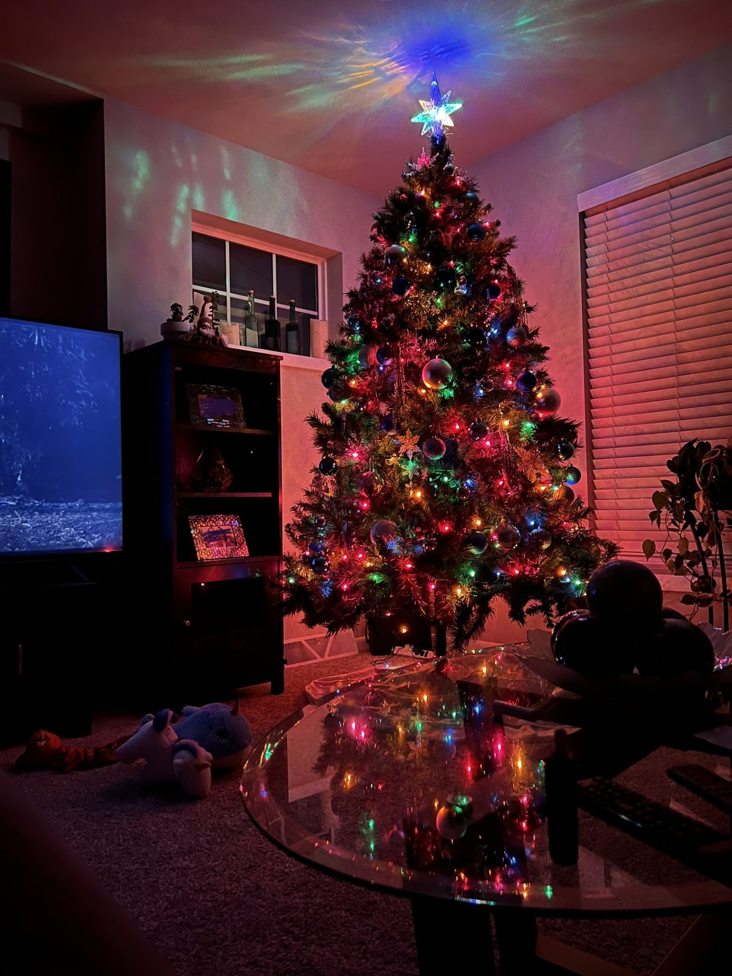 A5B49A10-F25E-4D7B-B7E1-BC290429F076.jpeg