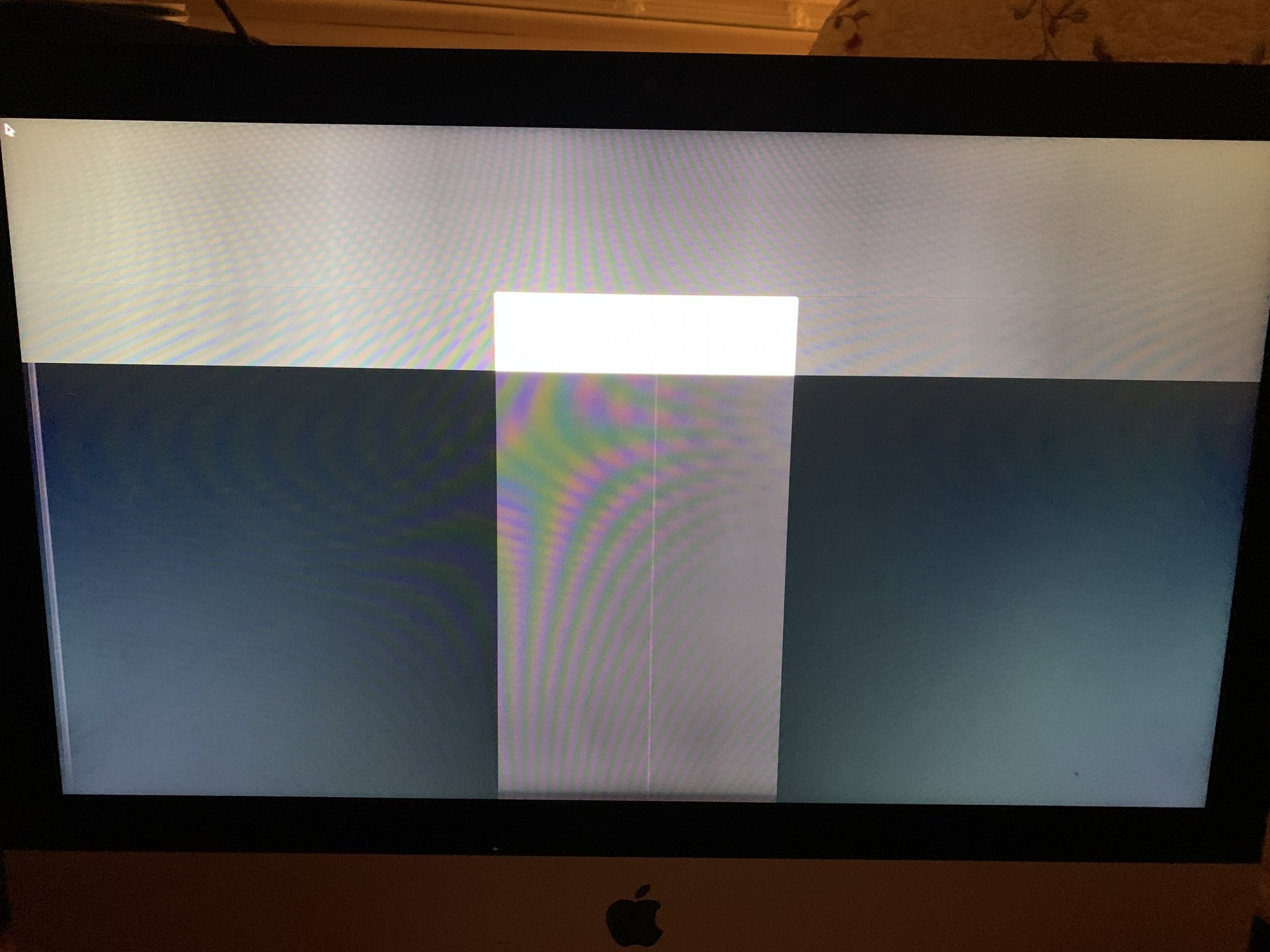 A5E1E893-0F09-45BE-B53B-51EA9AAF2C82.jpeg